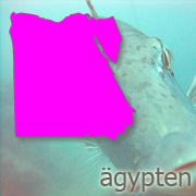 aegypten_wasser
