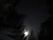 130225_fullmoon_01