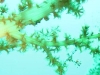 121223_harlekin-ghostpipe-hideandseek