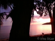 130805_sunset_01