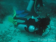 130118_sonicht