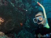 130212_stefan_owd