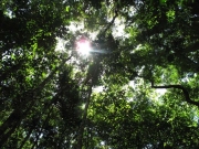 130712_phaeng-noi_05