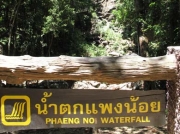 130712_phaeng-noi_09