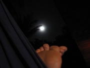 130815_z-halfmoon